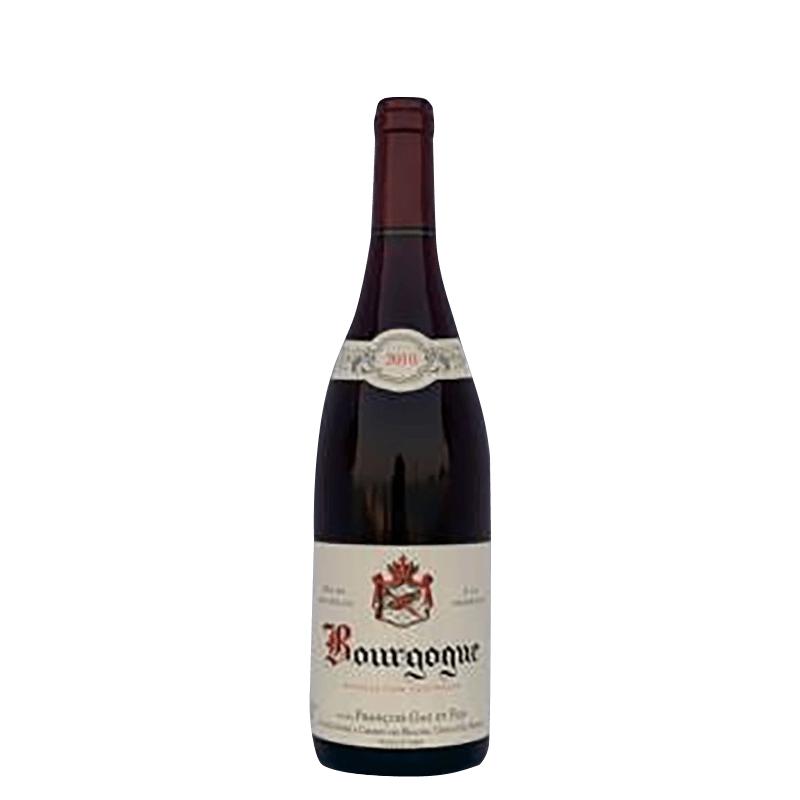 Pinot Noir Bourgogne Rouge 2018 - Domaine Francois Gay
